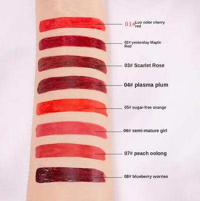 Colorina Pro-Artist High Pigmented Lip Gloss